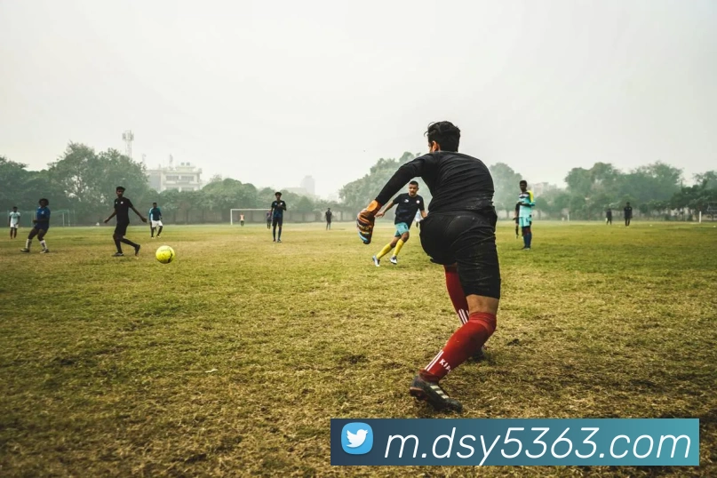 大三元官网平台登录品牌故事