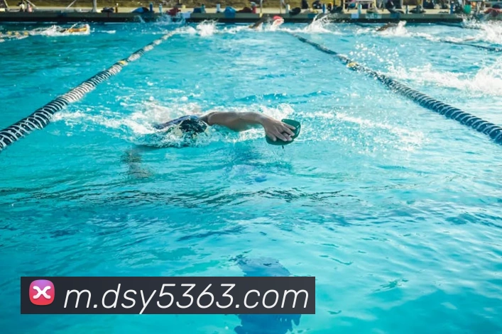 大三元官网平台登录服务体系