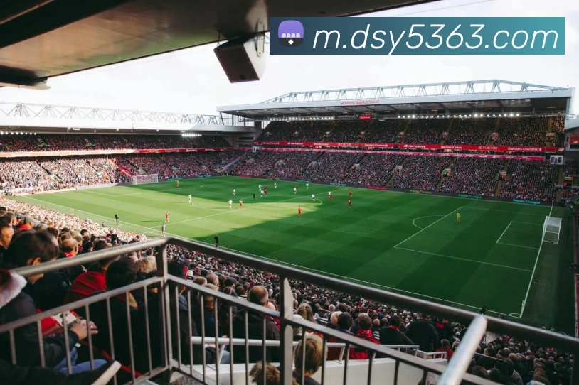 大三元官网平台登录APP 体育赛事宣传图